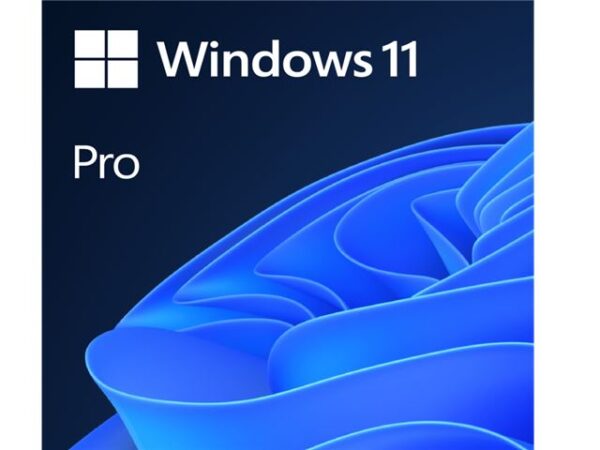 Microsoft MS GGK Win Pro 11 64bit Eng Intl 1pk DVD, 4YR-00316