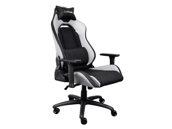 Stolica TRUST GXT714 RUYA ECO gaming/crno bela - Image 5