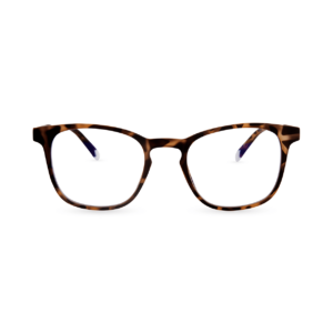 Zaštitne naočare BARNER Dalston/Tortoise