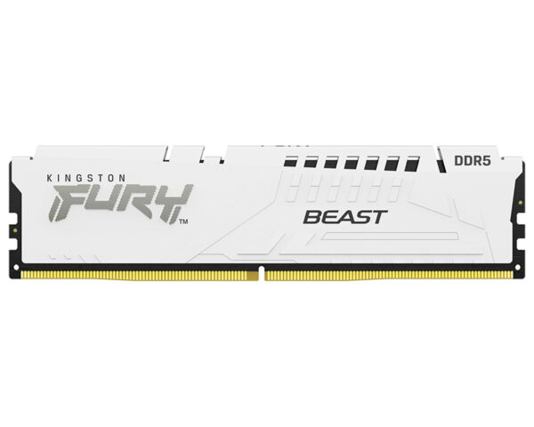 KINGSTON DIMM DDR5 32GB 6400MT/s KF564C32BWE-32 FURY Beast White EXPO