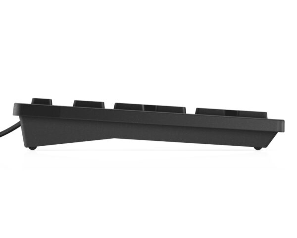 DELL Multimedia KB216 USB YU tastatura crna - Image 4