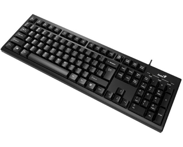 GENIUS KB-100 USB YU crna tastatura - Image 3