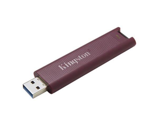 KINGSTON 1TB DataTraveler Max USB 3.2 flash DTMAXA/1TB - Image 2