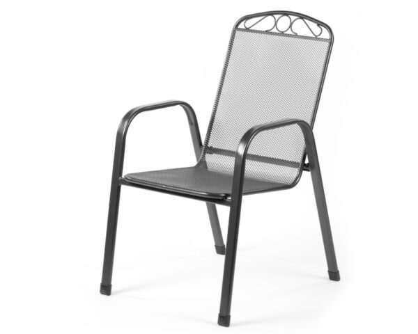 FIELDMANN FDZN 5305 Baštenska stolica - Image 3