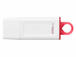 USB memorija KINGSTON KC-U2G256-5R/DataTraveler Exodia/3.2/bela