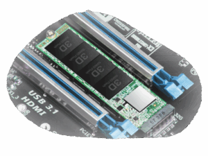 SSD TRANSCEND 250GB/interni/M.2/NVMe/crna